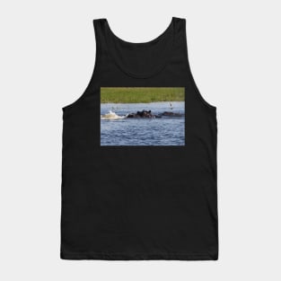 Hippopotamus in the Okavango Delta in Botswana Tank Top